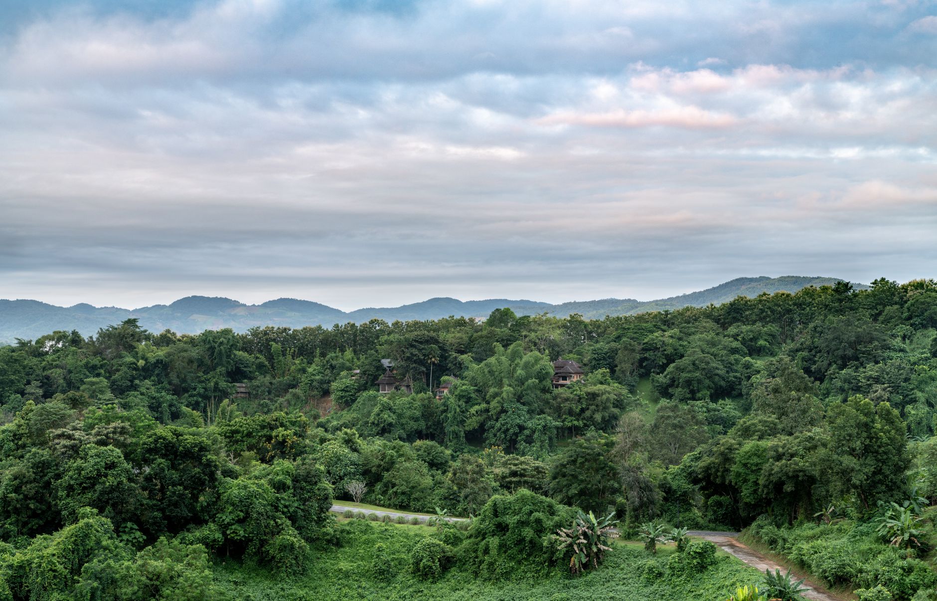 Lush green forest and distant mountains under a cloudy sky at Khao Yai National Park